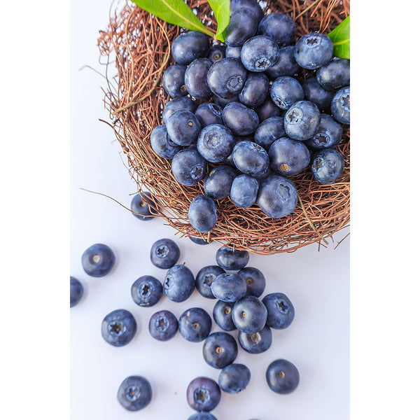 Blueberry, Kitchen Art