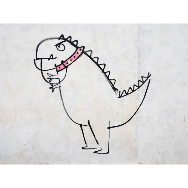 Little Dinosaur, Street Art