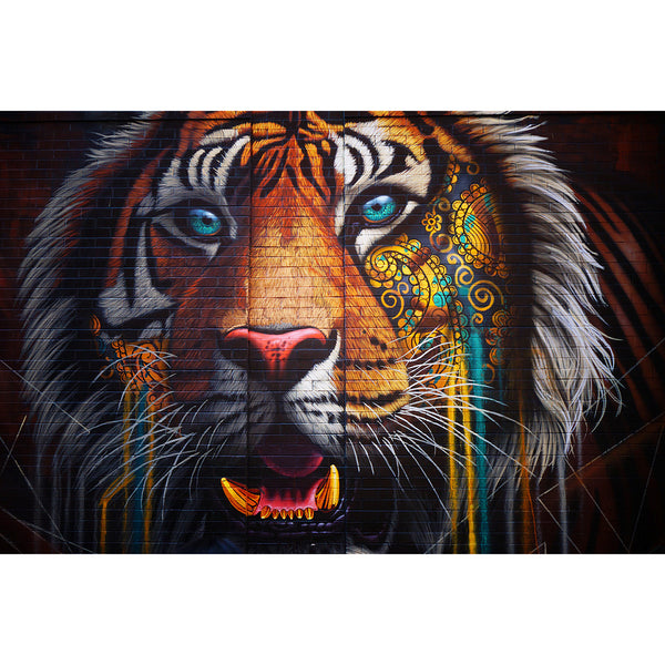 Tiger Multicolor, Street Art