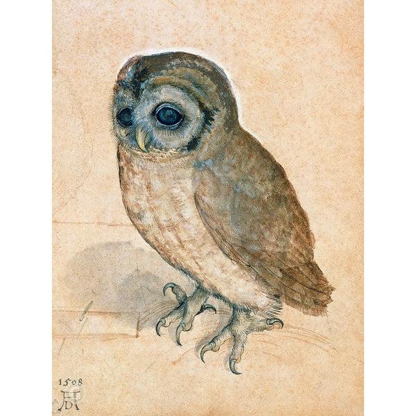The Little Owl, Reproduction