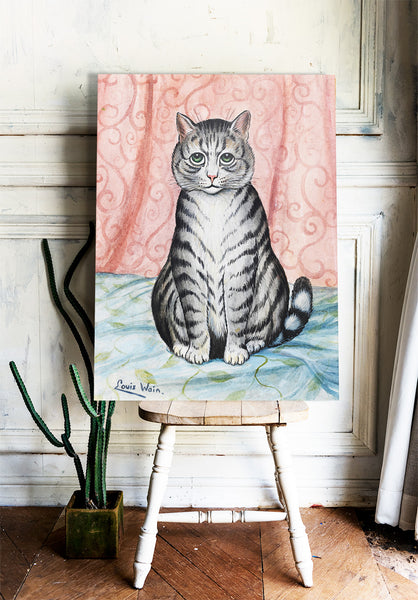 Cat Illustration, Reproduction