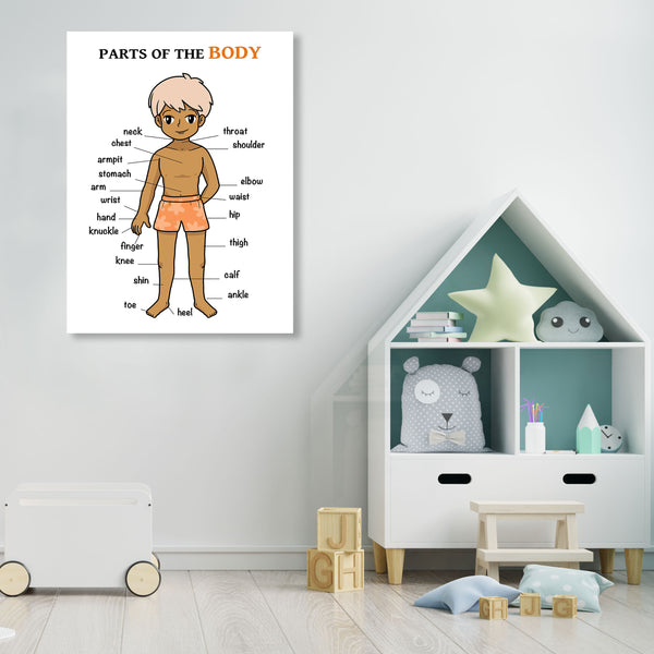 Parts of the Body, Kid's Educational Poster