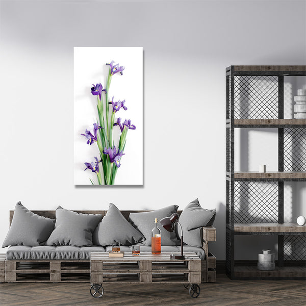 Irises on White Background, Photography