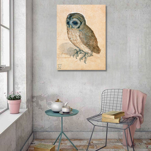 The Little Owl, Reproduction