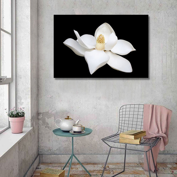 White Flower, Photography