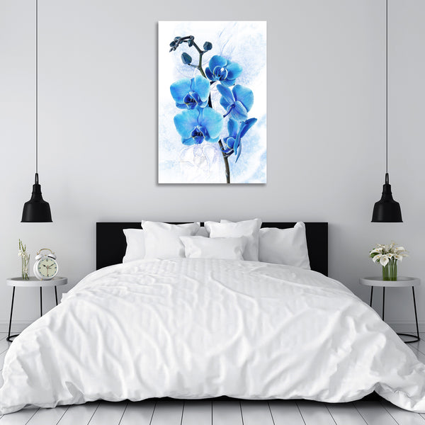 Blue Orchid on White Background