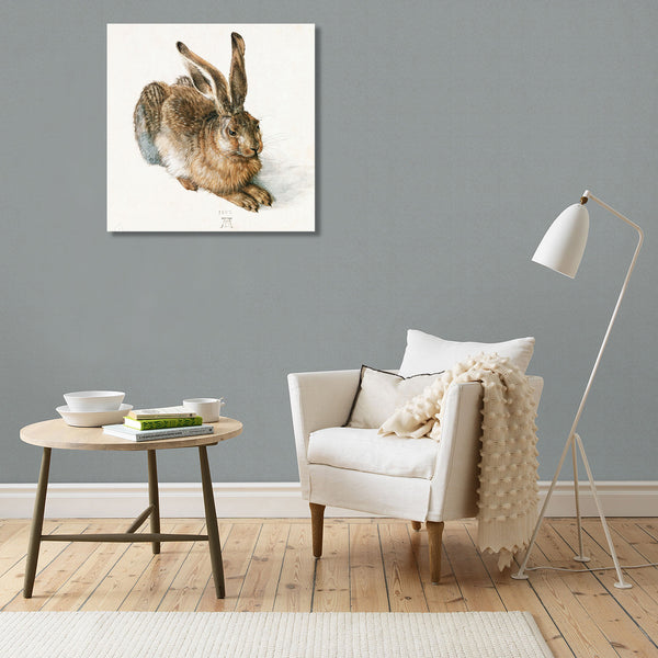 Young Hare Rabbit Animal, Reproduction
