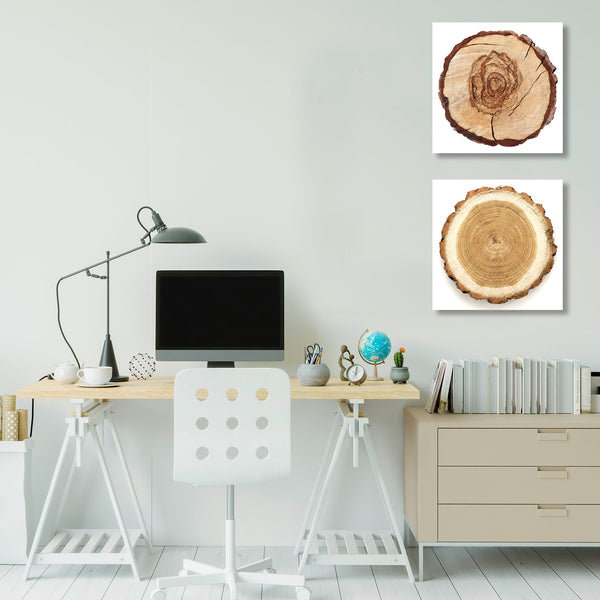 Tree Rings, Photography
