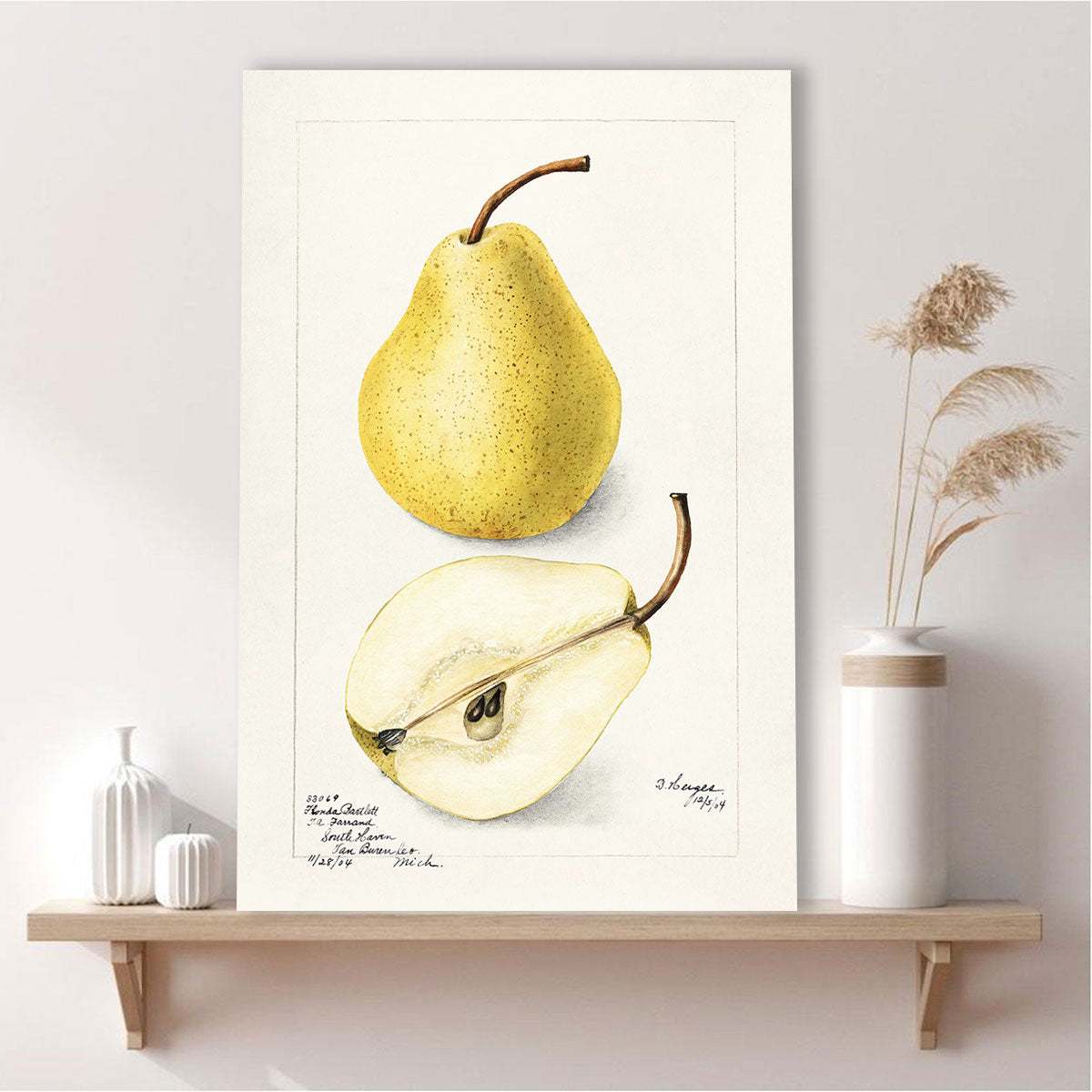 BOTANICAL ART 【import品】 BOTANICAL ART 【import品】 BOTANICAL ART 【import品】 ZX