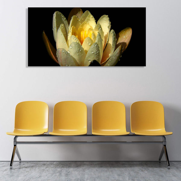 Yellow Lotus, Photography