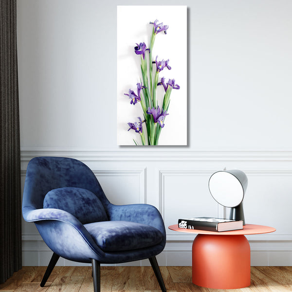 Irises on White Background, Photography