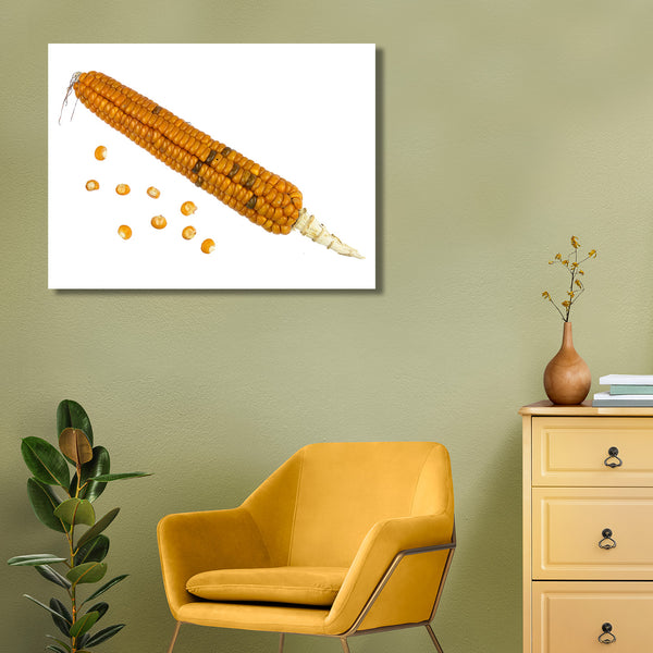 Corn on White Background, Photography