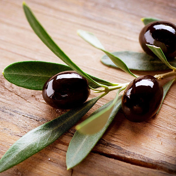 Black Olives, Food Photography
