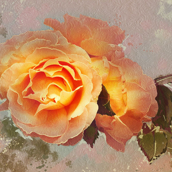 Yellow Rose in Vintage Style – Metal Poster-New Art Studio-newARTmix